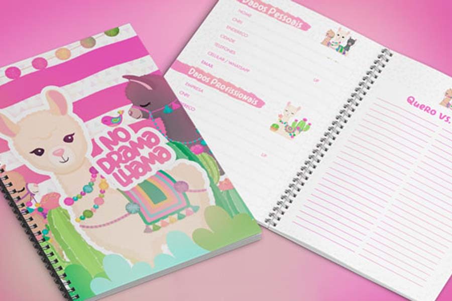 Planners gratuitos para imprimir e se organizar em 2019 6