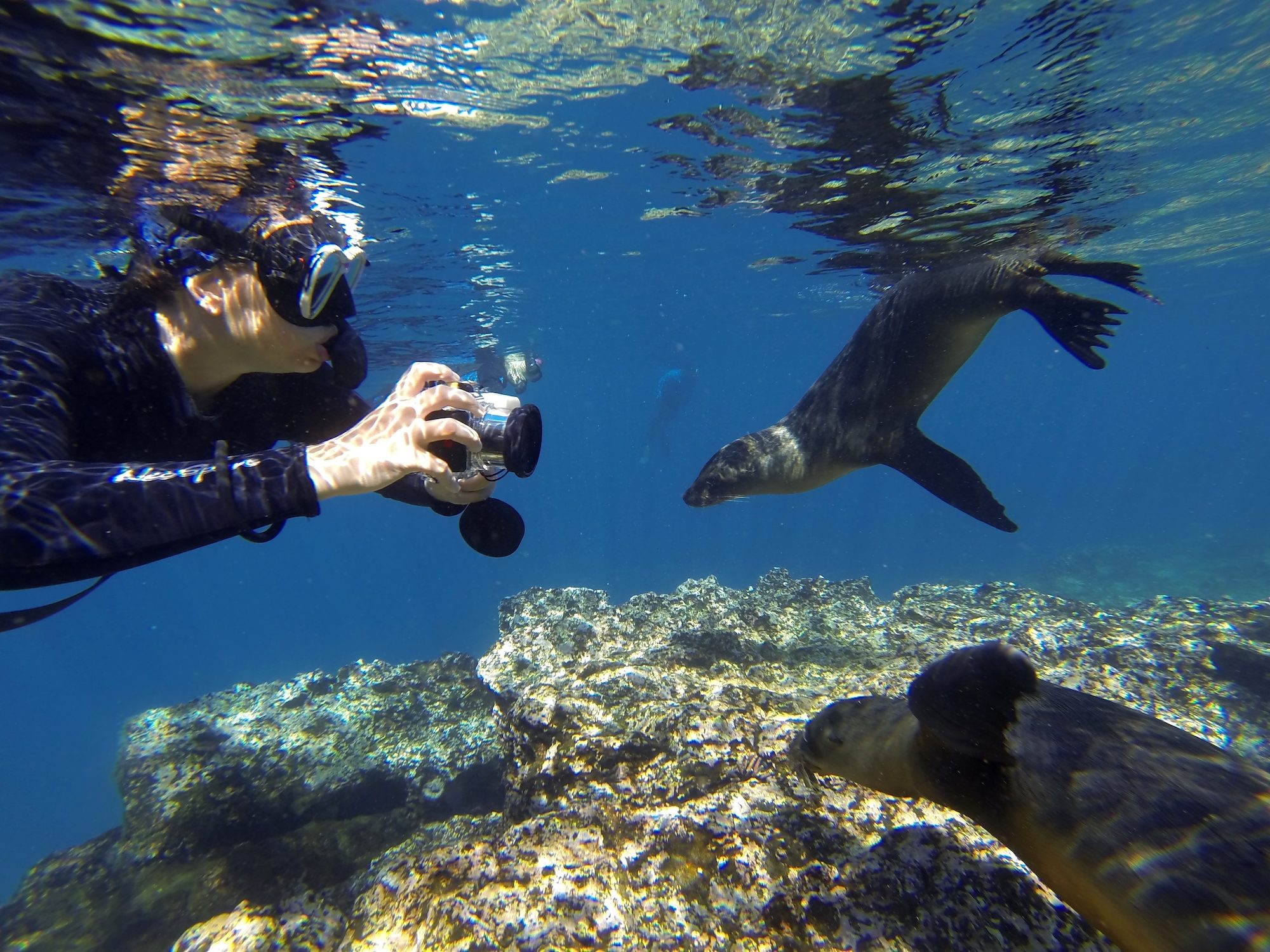 Pikaia Lodge Galapagos Camila Coelho