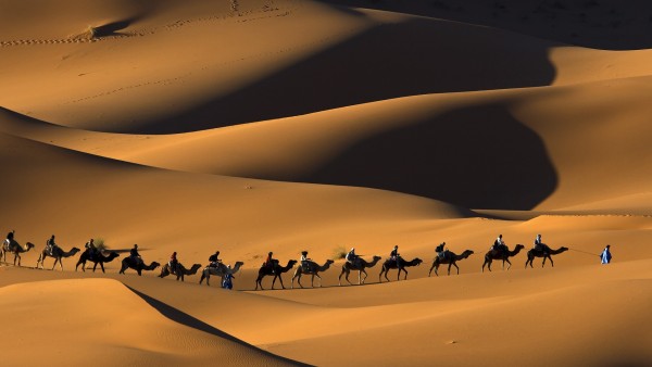 morocco_camel_trekking_tours