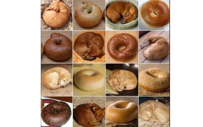 Você também confundiu? Você também confundiu?