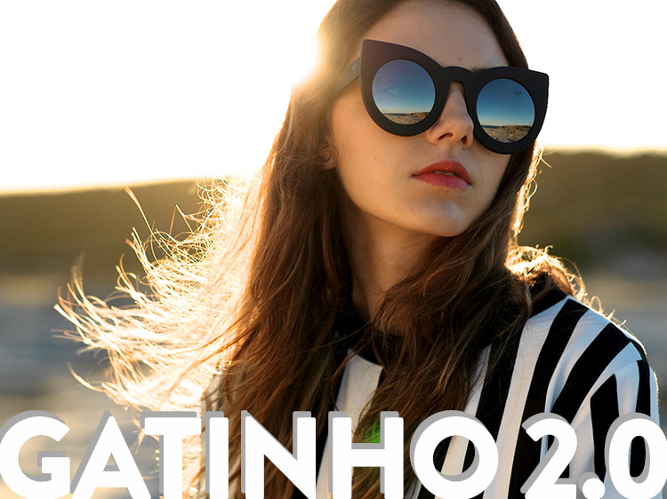 gatinho2