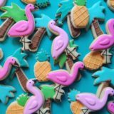 Holly Fox e seus biscoitos divertidos 12