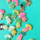 Holly Fox e seus biscoitos divertidos 17