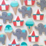 Holly Fox e seus biscoitos divertidos 18