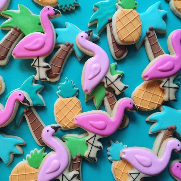 Holly Fox e seus biscoitos divertidos 2