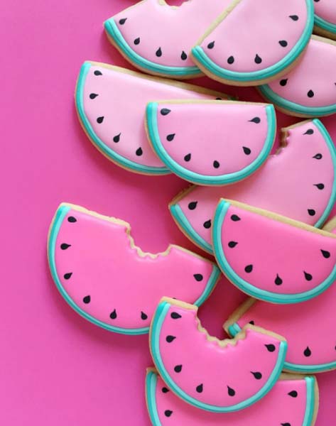 Holly Fox e seus biscoitos divertidos 3