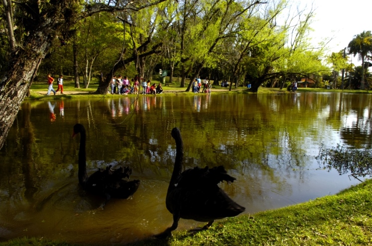 10 atrações em to Alegre para curtir com as crianças 3 Foto: Jefferson Botega