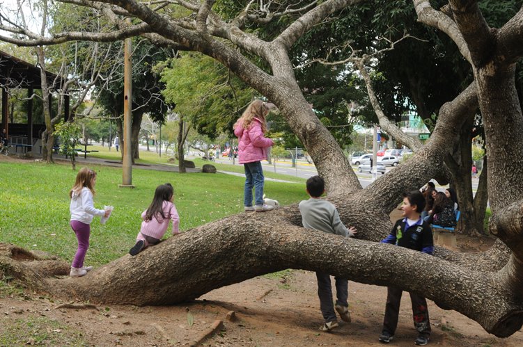 10 atrações em to Alegre para curtir com as crianças 5 Praça de Encol - Foto: Arivaldo Chaves