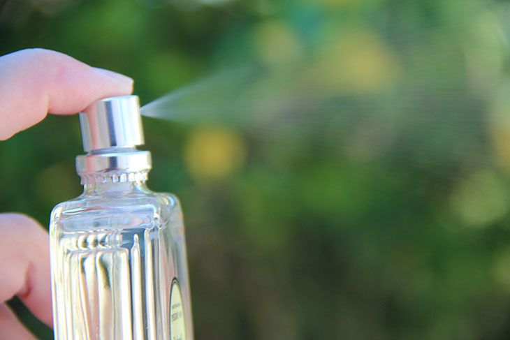 10 perfumes deliciosos por menos de R$  100