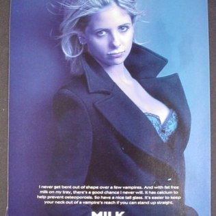 Sarah Michelle Gellar já foi inspiração para momentos de prazer Sarah Michelle Gellar já foi inspiração para momentos de prazer